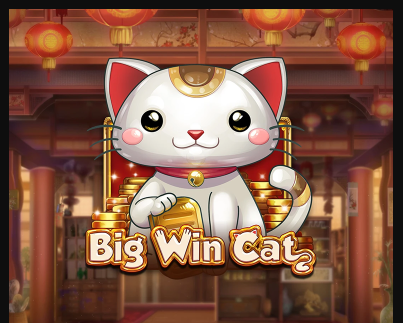 Big Win Cat